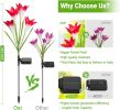Outdoor Solar Lights, 4 Pack Solar Garden Light with Bigger Lily Flowers